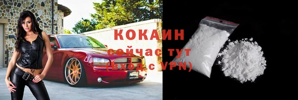 гидра Киреевск