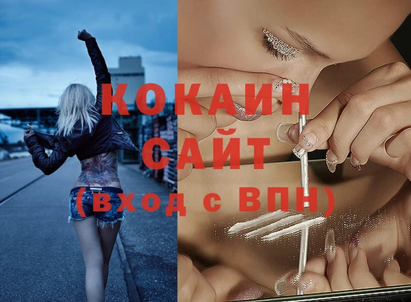 индика Костерёво