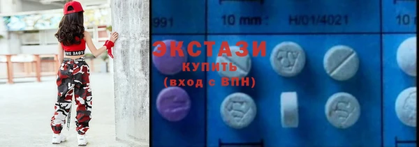 индика Костерёво