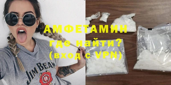 индика Костерёво