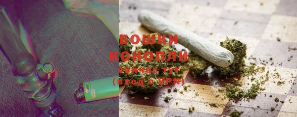 гидра Козловка