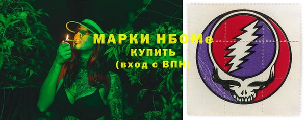 индика Костерёво