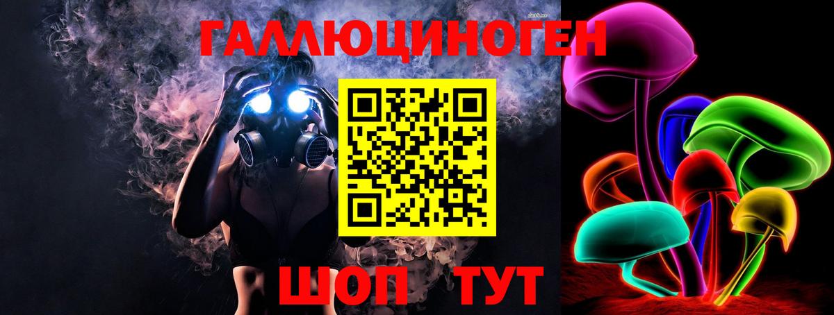 Малгобек  Галлюциногенные грибы Cubensis  Вход с VPN 